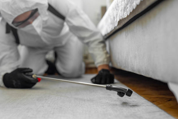 Professional Termite Control technician working in Murray, UT