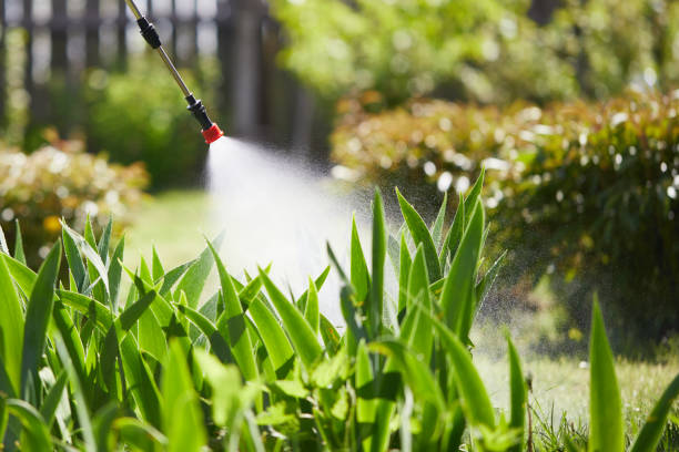 24/7 Emergency Termite Control experts in Murray, UT
